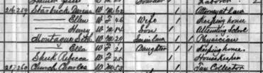 clip of 1880 US census