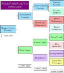 Colorful family tree