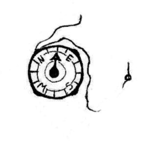 compass icon